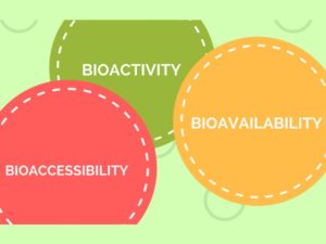 Bioavailability-of-Cannabis-Bloom-Medicinals
