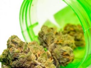 Cresco-Cookies-Bottle-Bloom-Medicinals