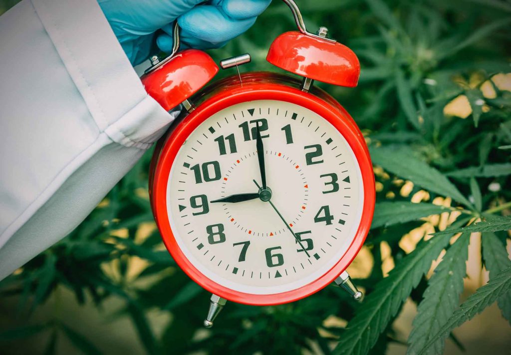 how-long-does-cbd-stay-in-your-system-feature