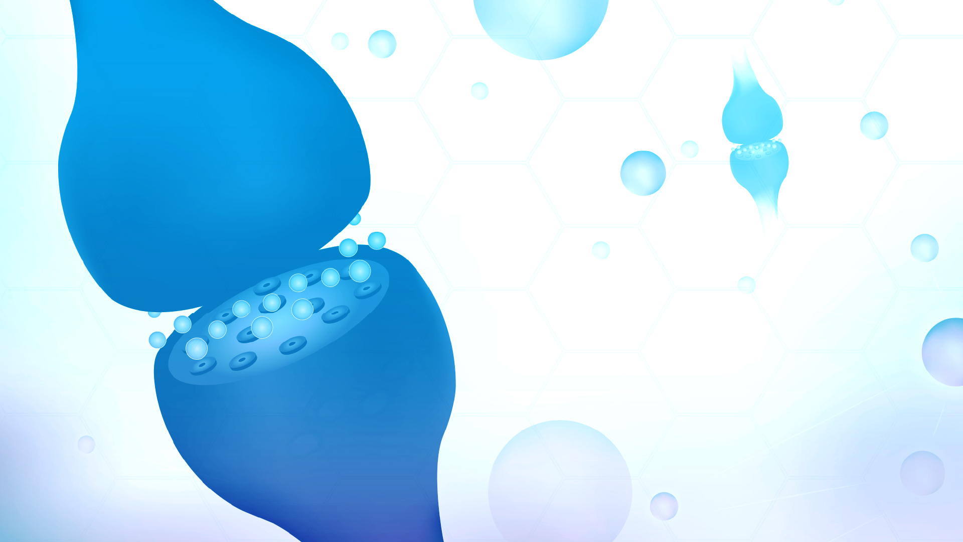 Memorial Day 2023 Weed Deals for Veterans Bloom Medicinals