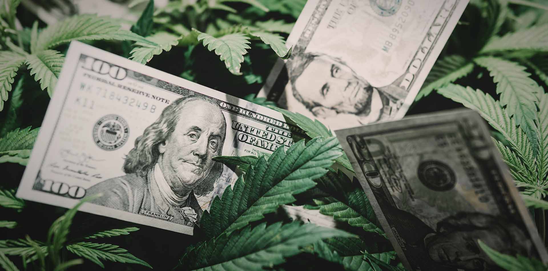 What's the Difference Between Medical and Recreational Marijuana? Bloom