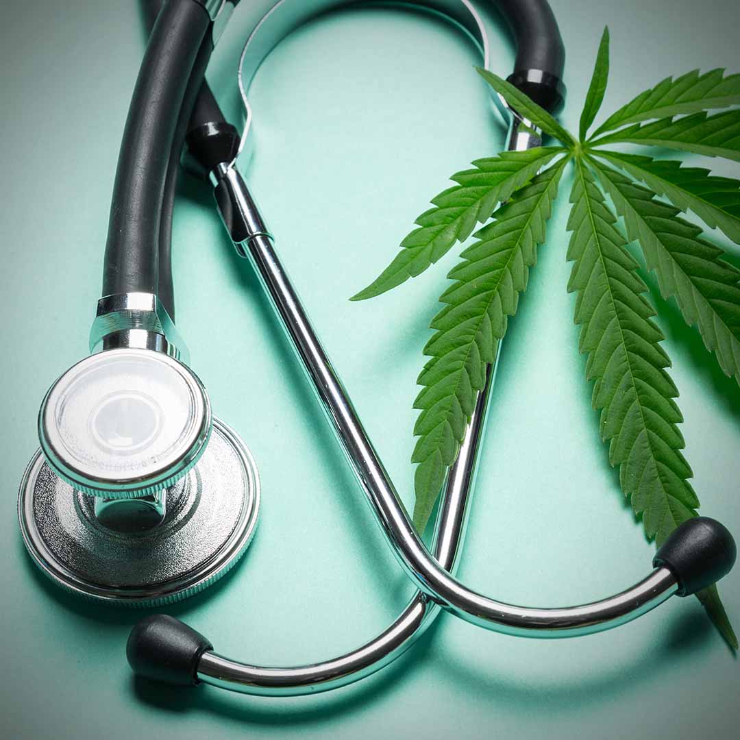 What's the Difference Between Medical and Recreational Marijuana? | Bloom