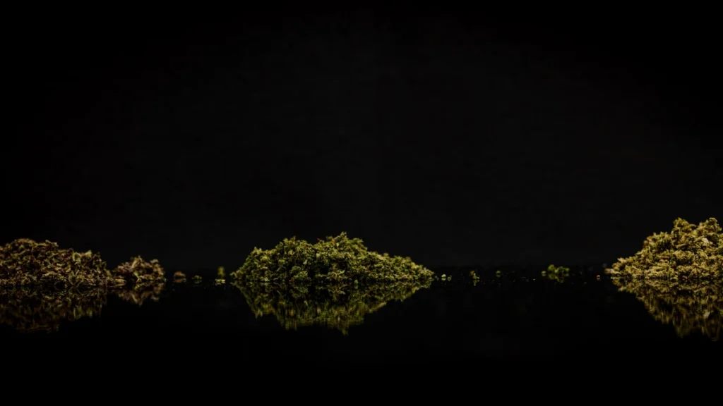Three different strains of ground cannabis flower in separate piles