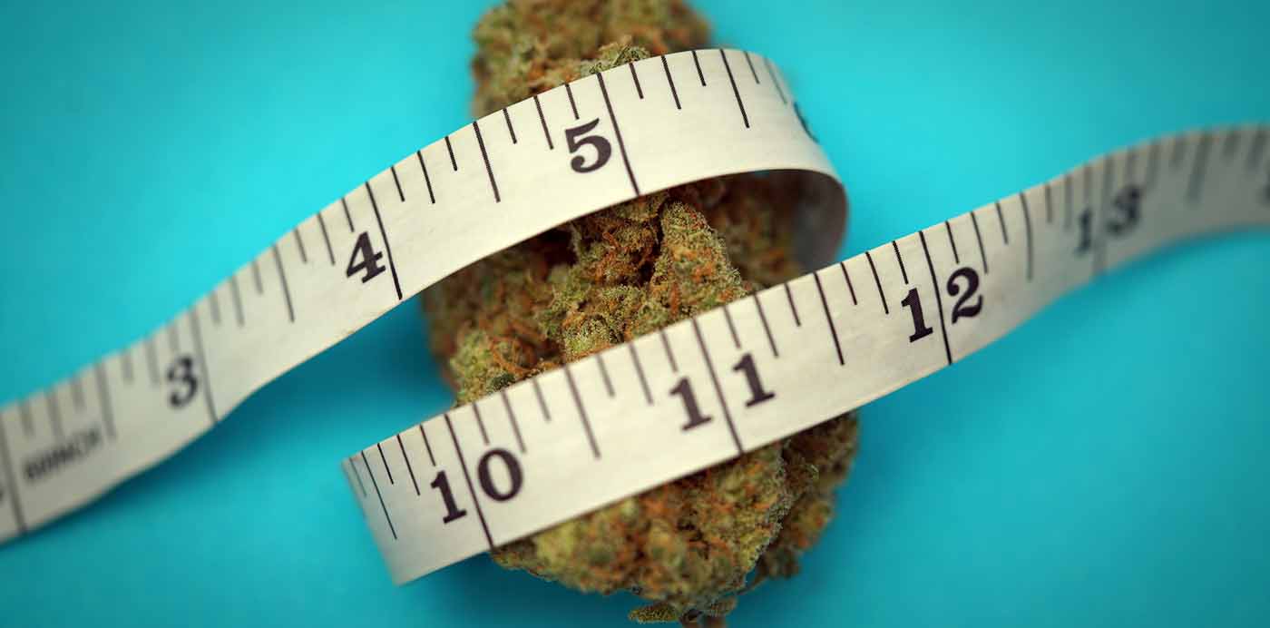 Weed for Weight Loss | Bloom Dispensaries