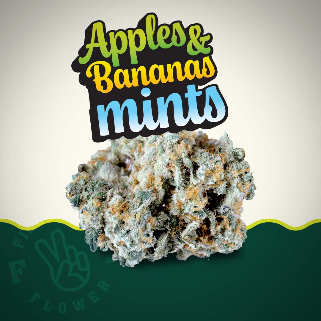 Apples & Bananas Mints Strain Highlight - Bloom Medicinals