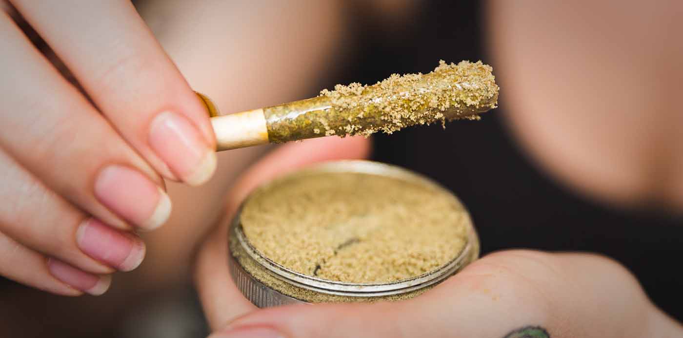 What is Kief Weed and How to Use it - Bloom - Cannabis Education