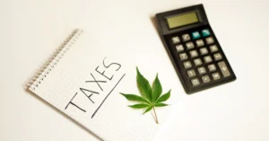 marijuana leaf on top of a notepad with the word taxes written next to a calculator.