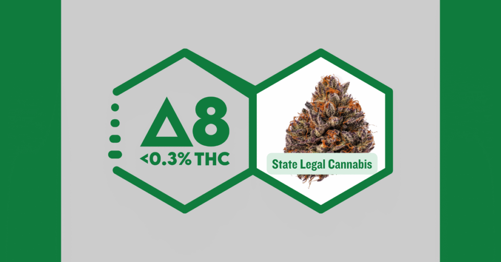 Modern dispensary interior with products displayed.