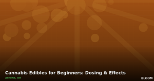 Guide on cannabis edibles for beginners in Athens Ohio