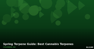 Guide to cannabis terpenes in Columbus Ohio