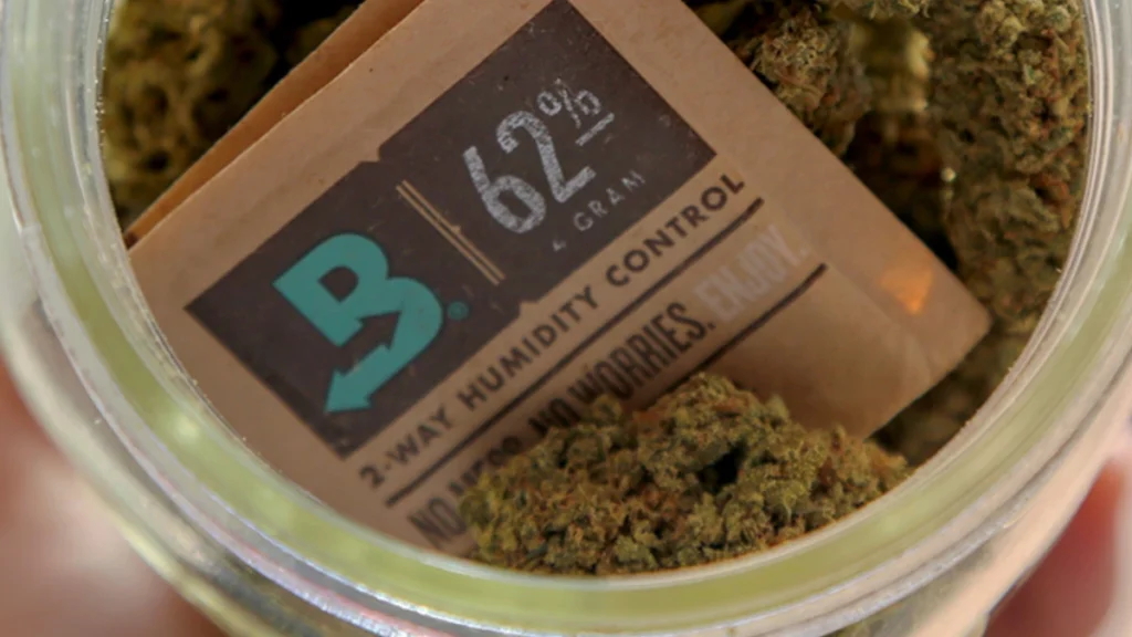 cannabis flower in glass jar beside a boveda humidity pack