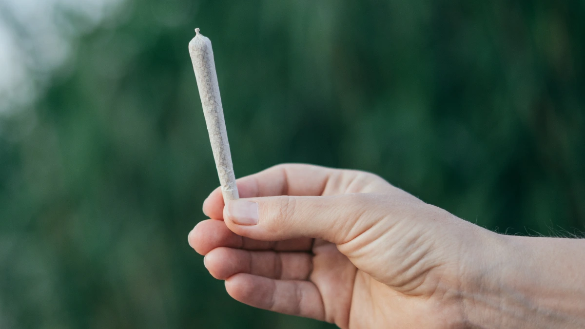 A hand holding a single cannabis pre-roll outdoors.