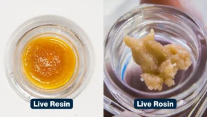 A jar of amber live resin sauce next to a portion of creamy live rosin.