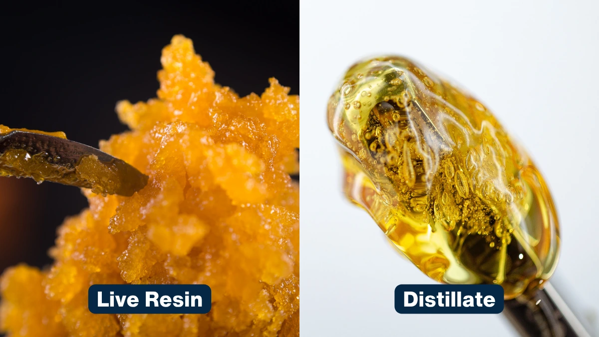 two vape oils side by side macro shot showing the difference between thin golden distillate and thicker amber live resin oil.