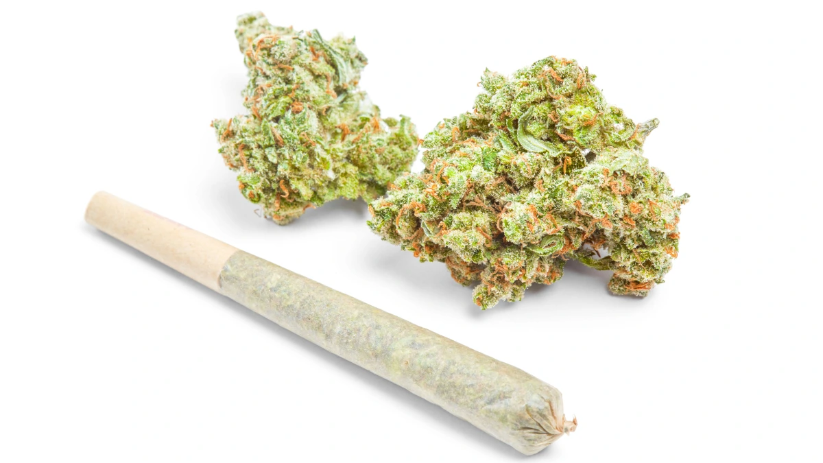 A single pre-roll and cannabis flower photographed from above.